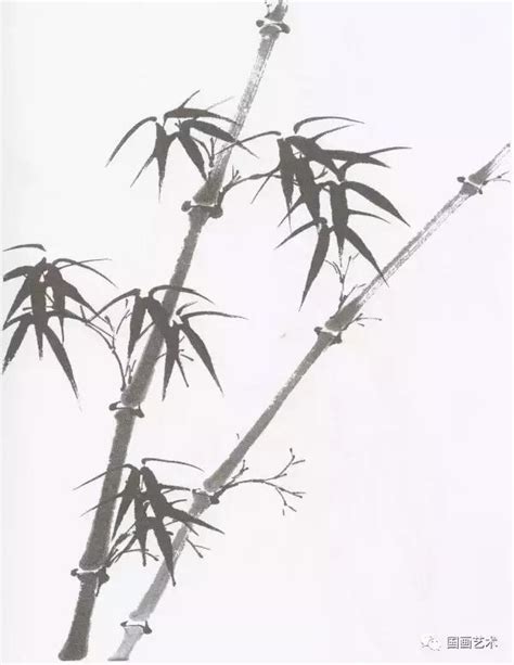 1976年屬什麼 竹子 畫法